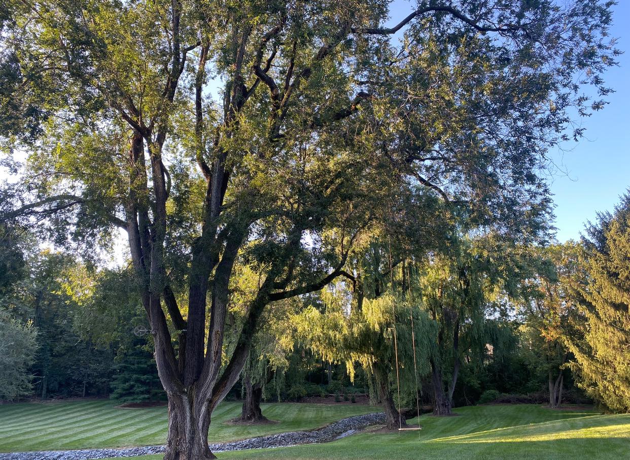 Beautiful wedding ceremony setup at Shawnee Run Venue in Columbia, PA